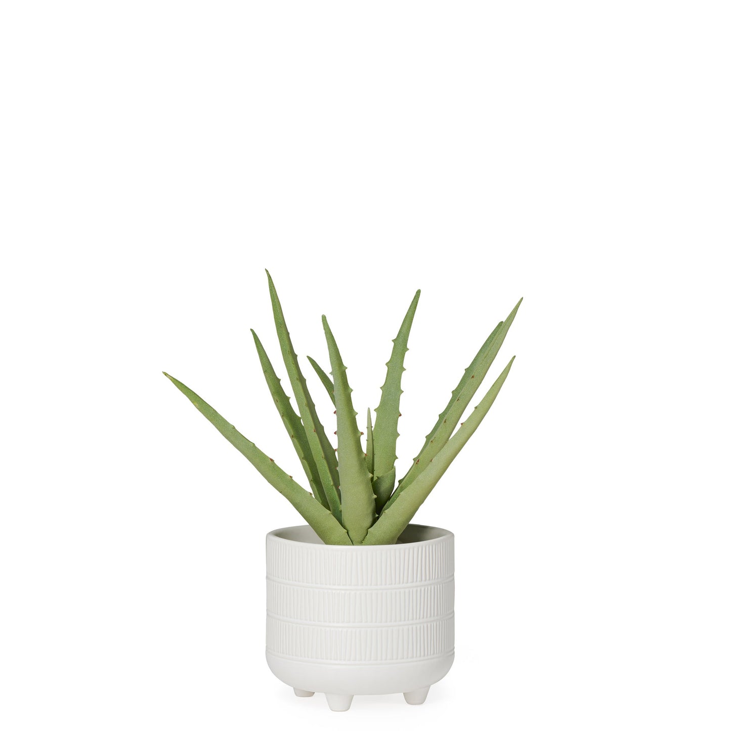 Riviera Ceramic Potted Faux 11 Inch Tall Aloe Succulent Plant