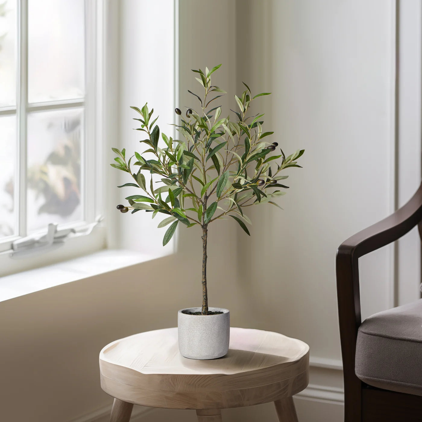 Olive Tree 28 Inch Tall Cement Potted Faux Plant