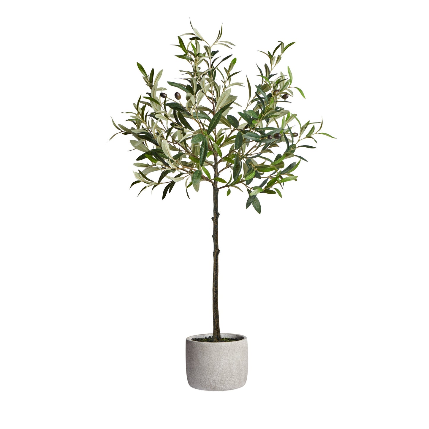 Olive Tree Cement Potted Faux Plant - 37 Inch Tall