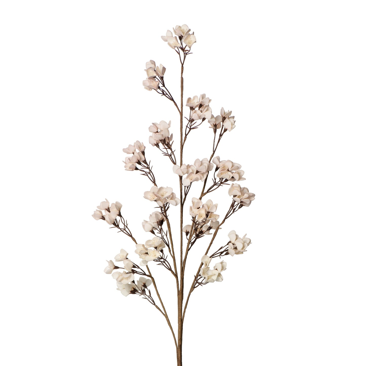 Desert Multi Bloom 40 Inch Length Cherry Blossom Stem - Blush Pink / White