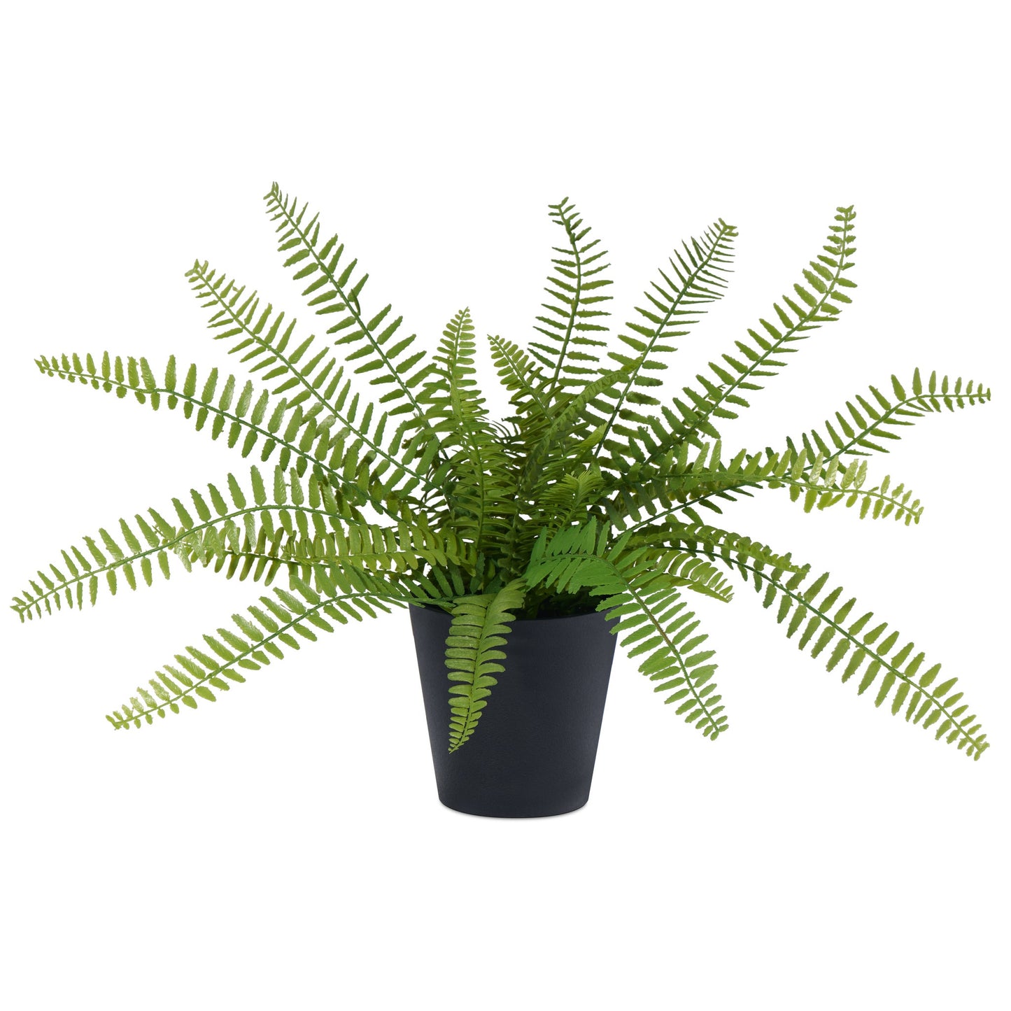 Sword Fern Faux Potted Plant In Tapered Pot