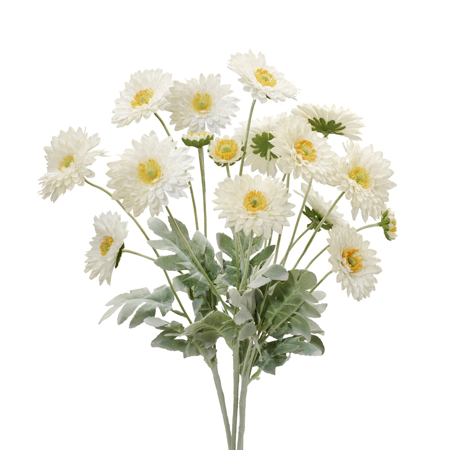 Daisy 4 Bloom 23 Inch Length 4 Stem Bouquet - Cream