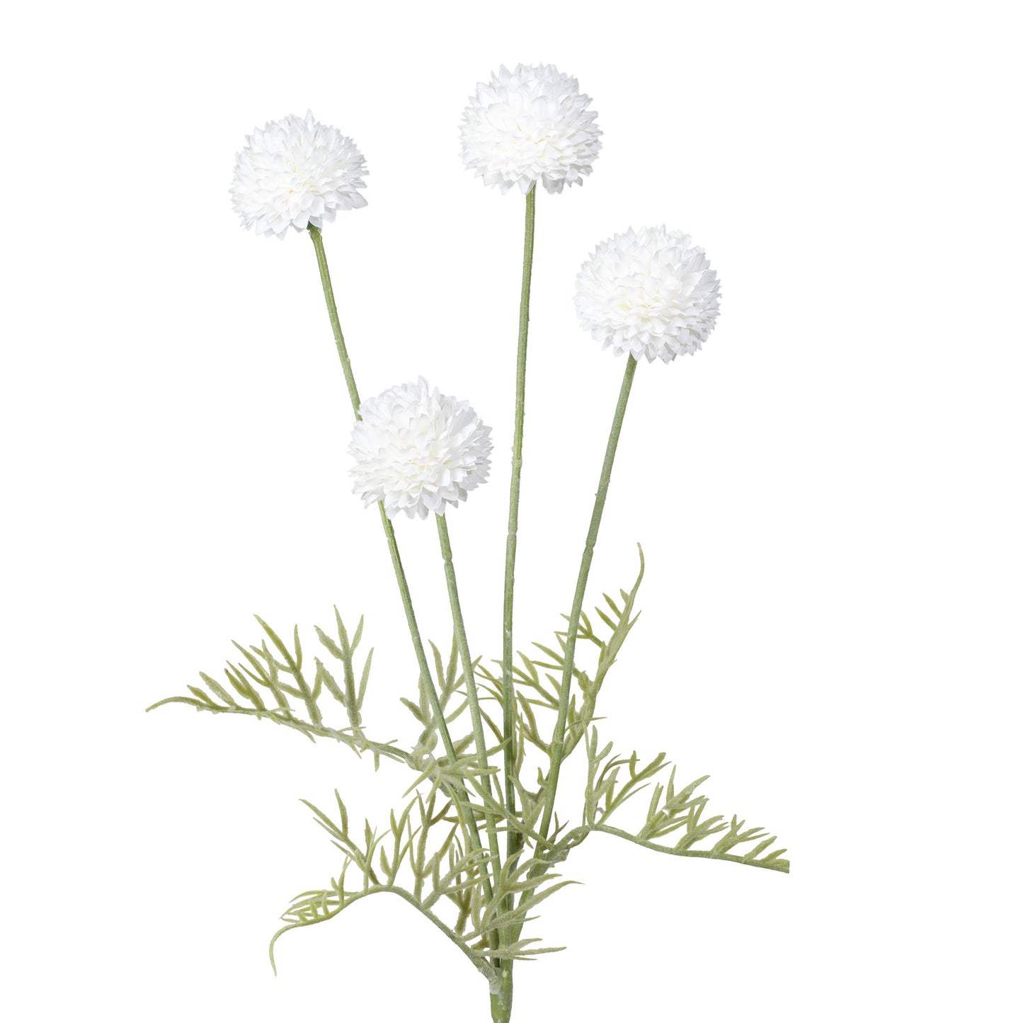 Pompom 4 Bloom 23.5 Inch Stem - White