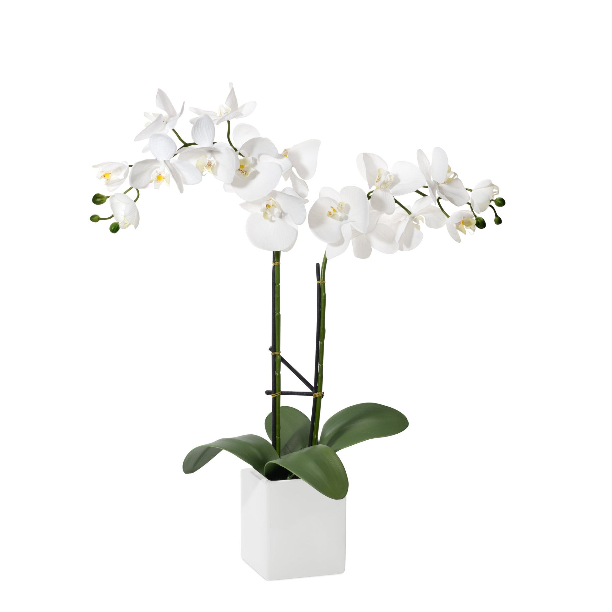 Orchid Potted Faux 23 Inch Double Stem - White