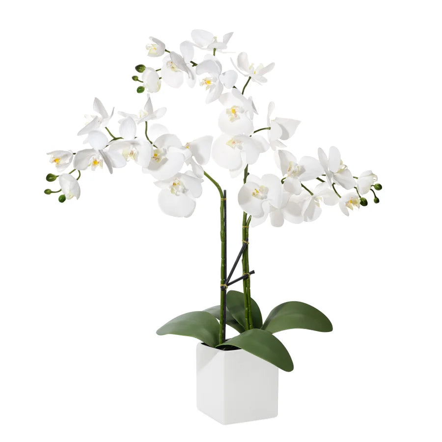 Orchid Potted Faux 23 Inch Triple Stem - White