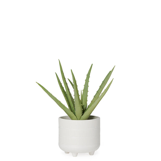 Riviera Ceramic Potted Faux 11 Inch Tall Aloe Succulent Plant