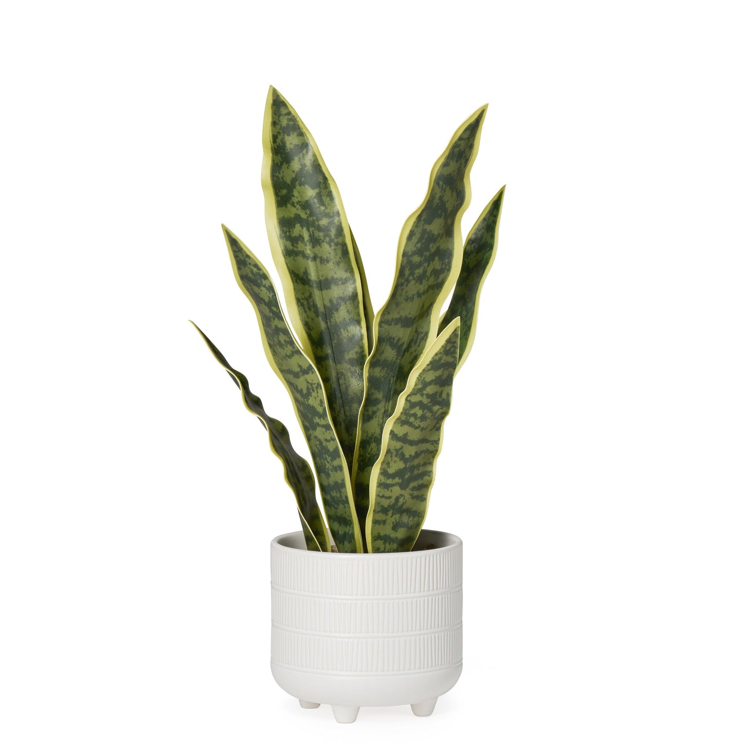 Riviera Ceramic Potted Faux 16 Inch Tall Snake Plant