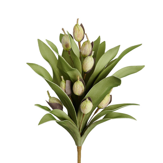 Desert Pod Succulent 37 Inch Length Bouquet Stem