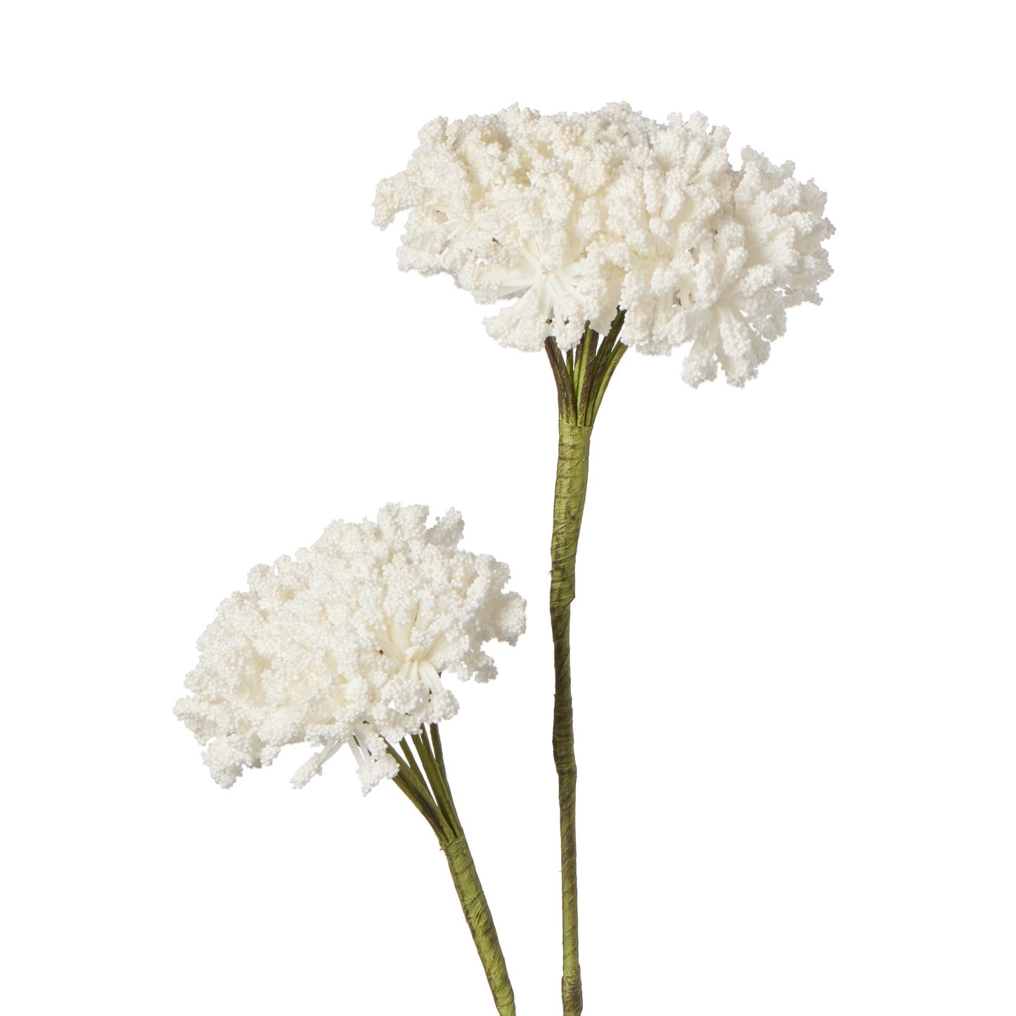 Desert White Coral 2 Bloom 34 Inch Length Stem