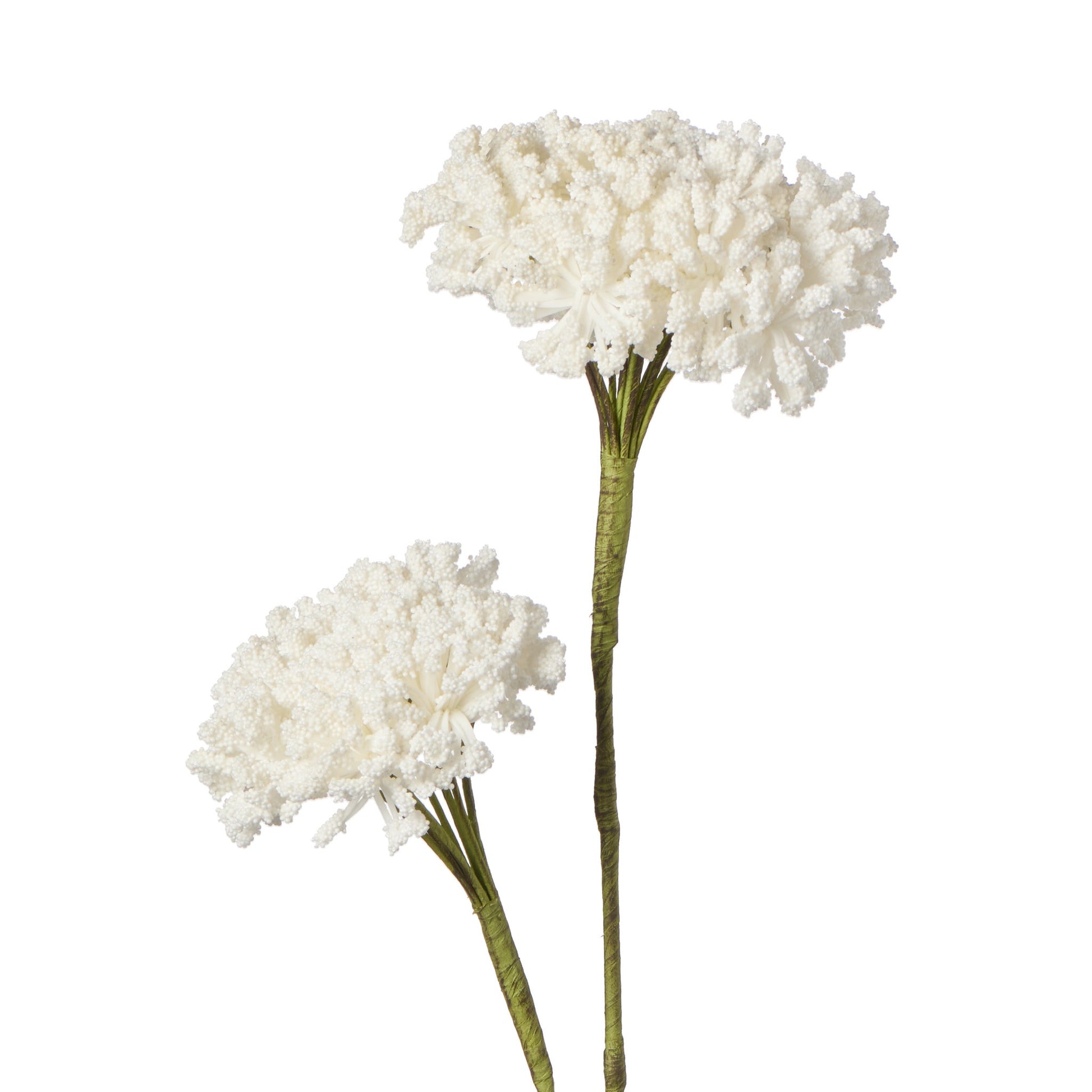 Desert White Coral 2 Bloom 34 Inch Length Stem