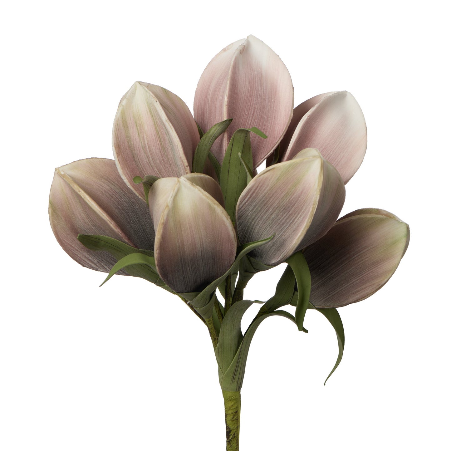 Desert Pinched Multi Pod Bouquet 31 Inch Length Stem - Pink