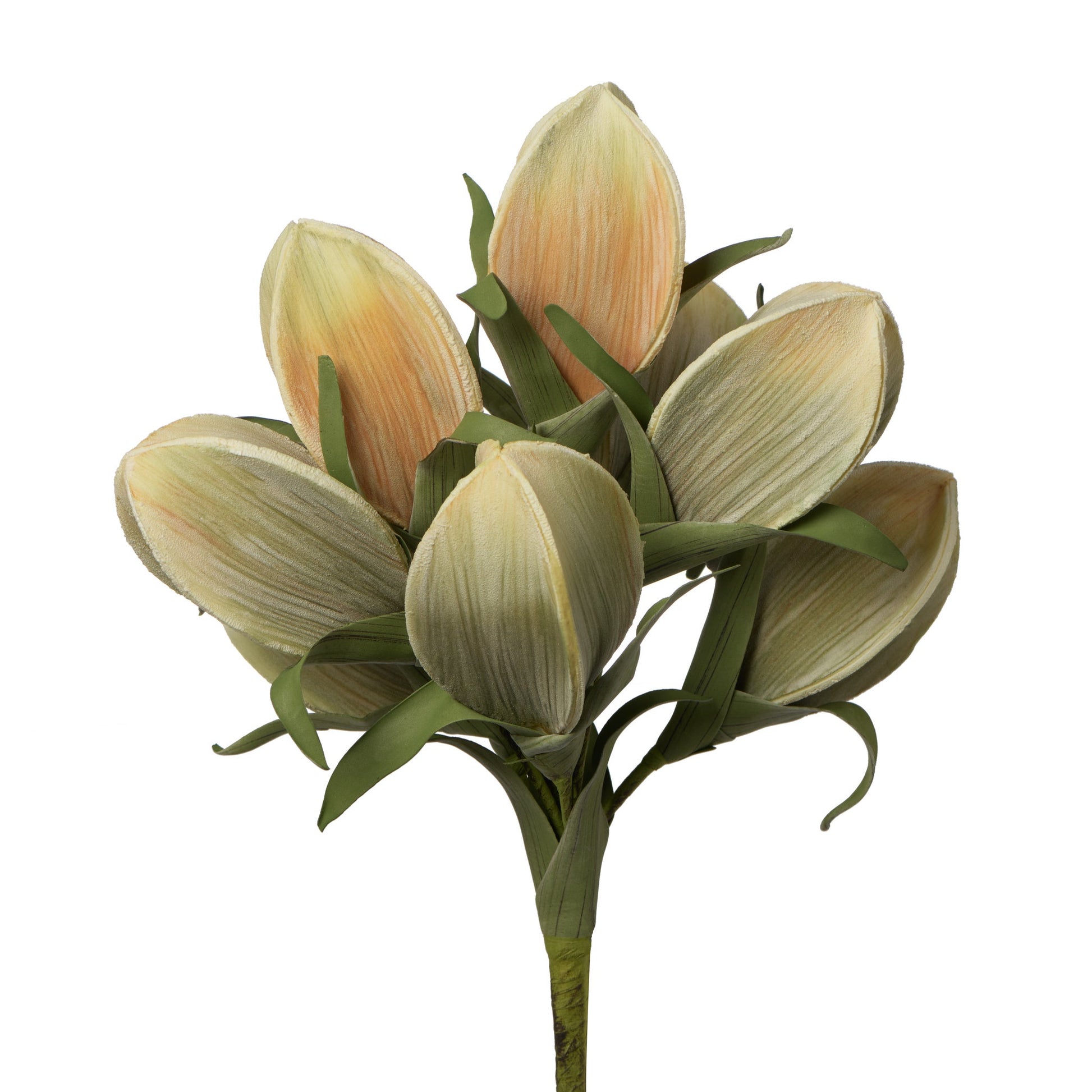 Desert Pinched Multi Pod Bouquet 31 Inch Length Stem - Peach