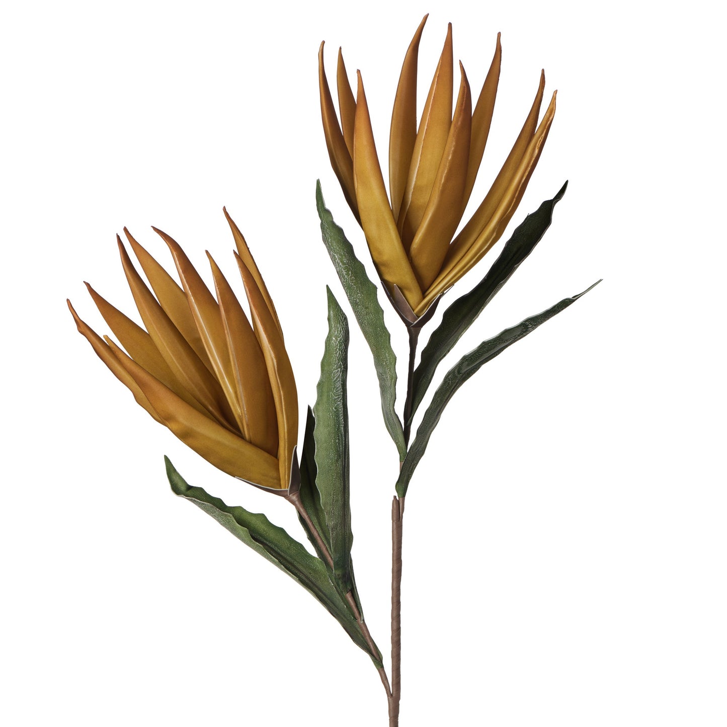 Desert Bird Of Paradise 2 Bloom 48 Inch Length Stem - Yellow/Orange