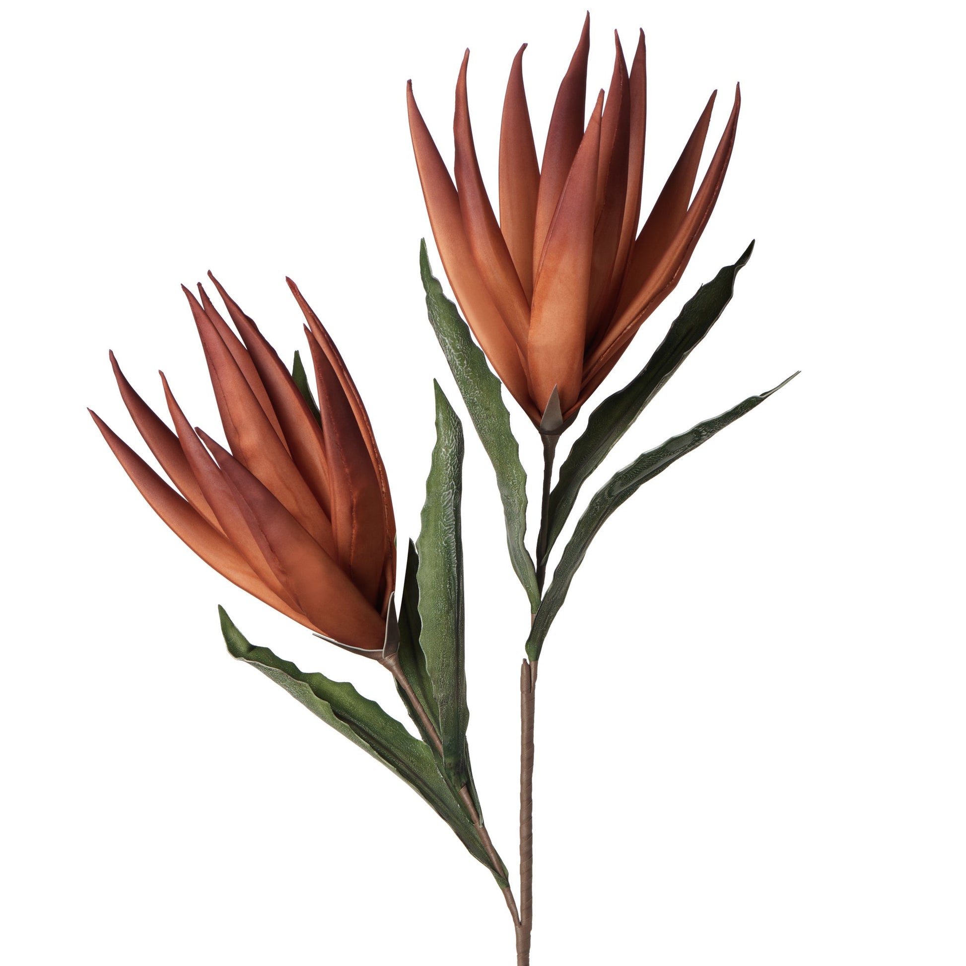 Desert Bird Of Paradise 2 Bloom 48 Inch Length Stem - Orange/Red