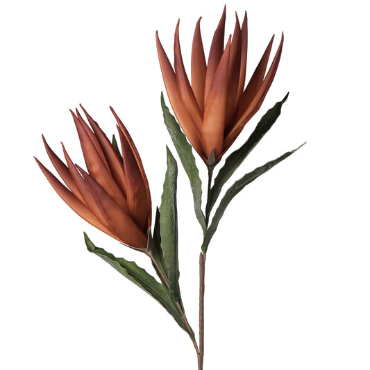 Desert Bird Of Paradise 2 Bloom 48 Inch Length Stem - Orange/Red