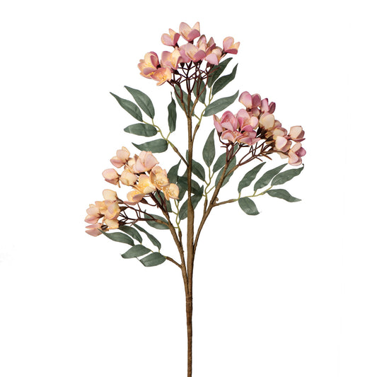 Desert 3 Cluster 30 Inch Length Cherry Blossom Stem with Leaves - Pink