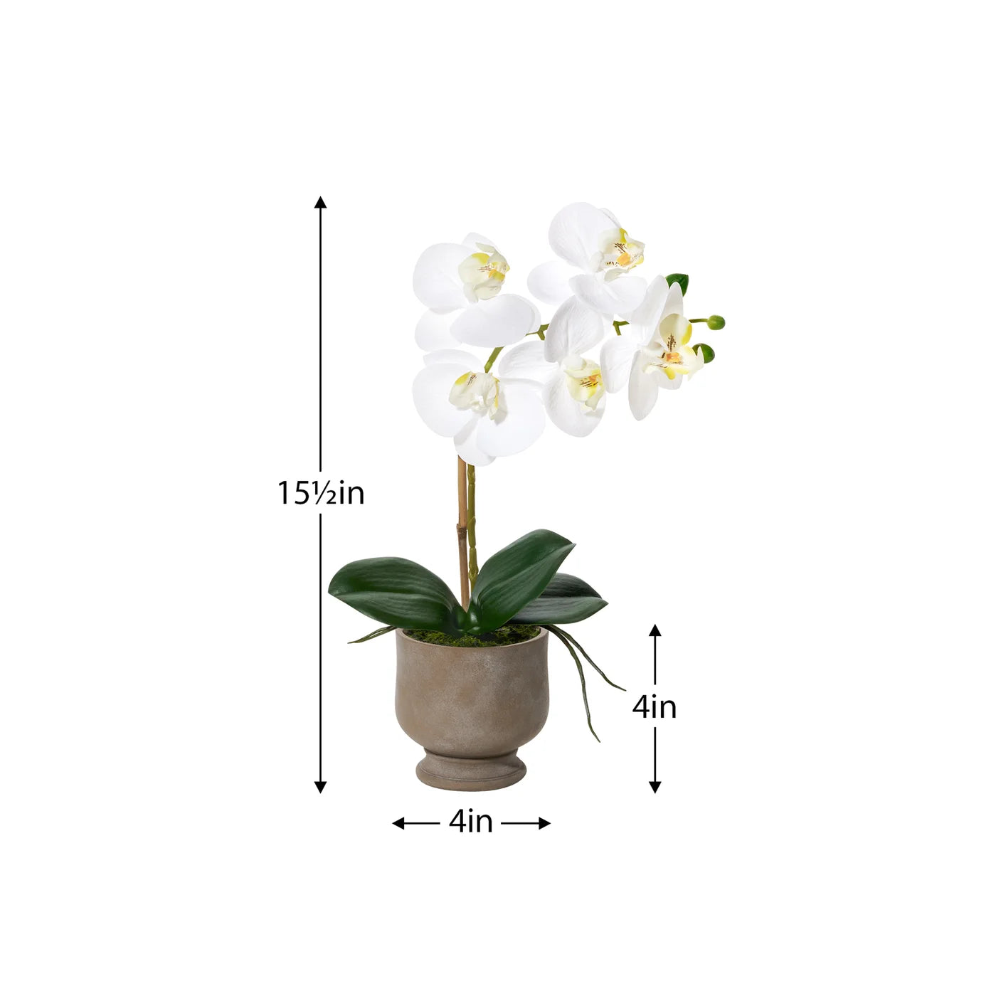 Verona 15.5 Inch Tall Urn Potted Real Touch Orchid - White