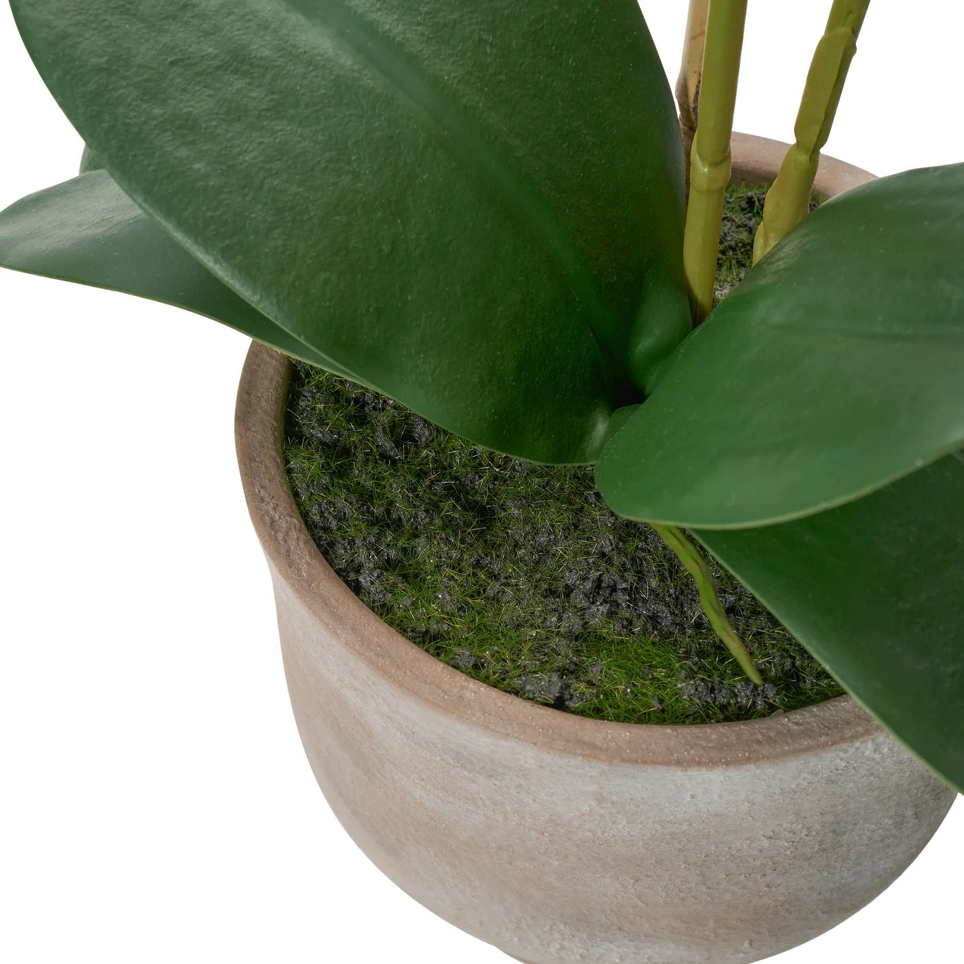 Verona 22 Inch Tall Urn Potted Real Touch Orchid - White