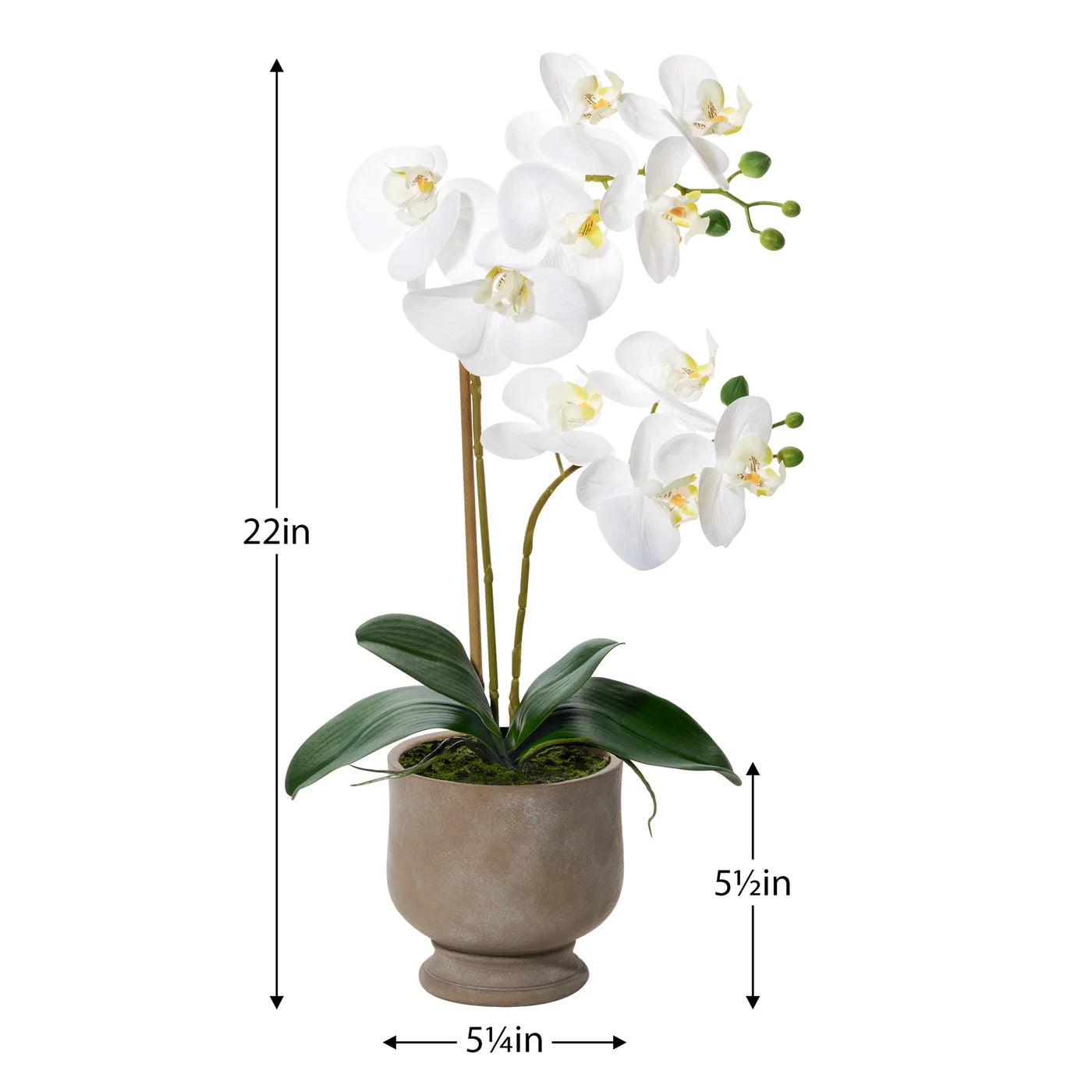 Verona 22 Inch Tall Urn Potted Real Touch Orchid - White