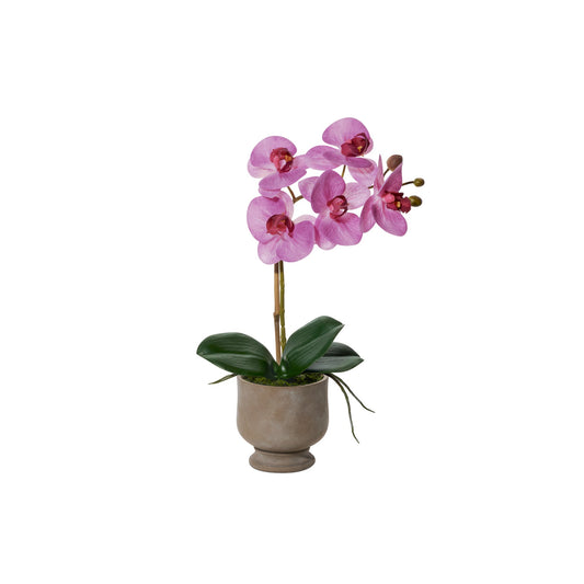 Verona Urn Potted Real Touch Orchid - 15.5 Inch Tall - Pink