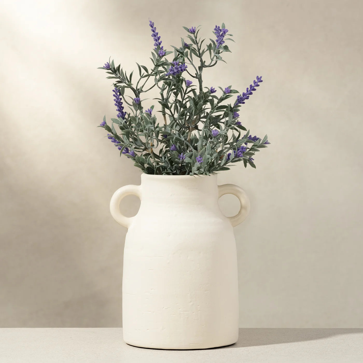 Rustic Carafe 8 Inch Tall Ceramic Handle Vase