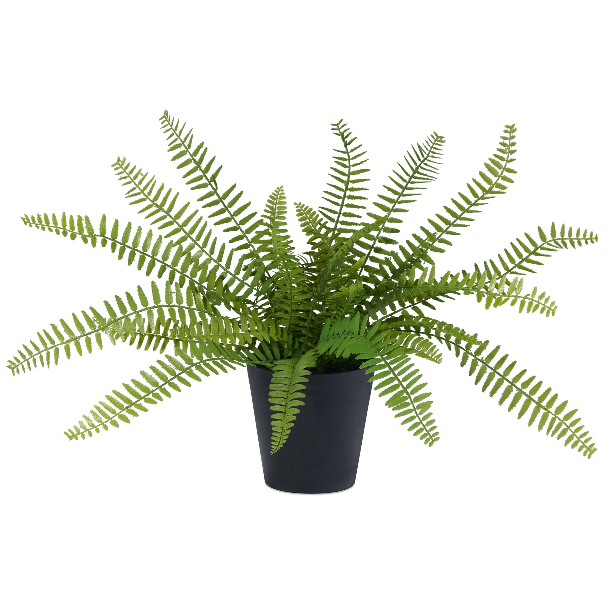 Sword Fern Faux Potted Plant In Tapered Pot