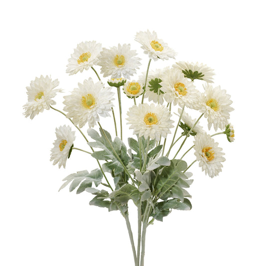 Daisy 4 Bloom 23 Inch Length 4 Stem Bouquet - Cream