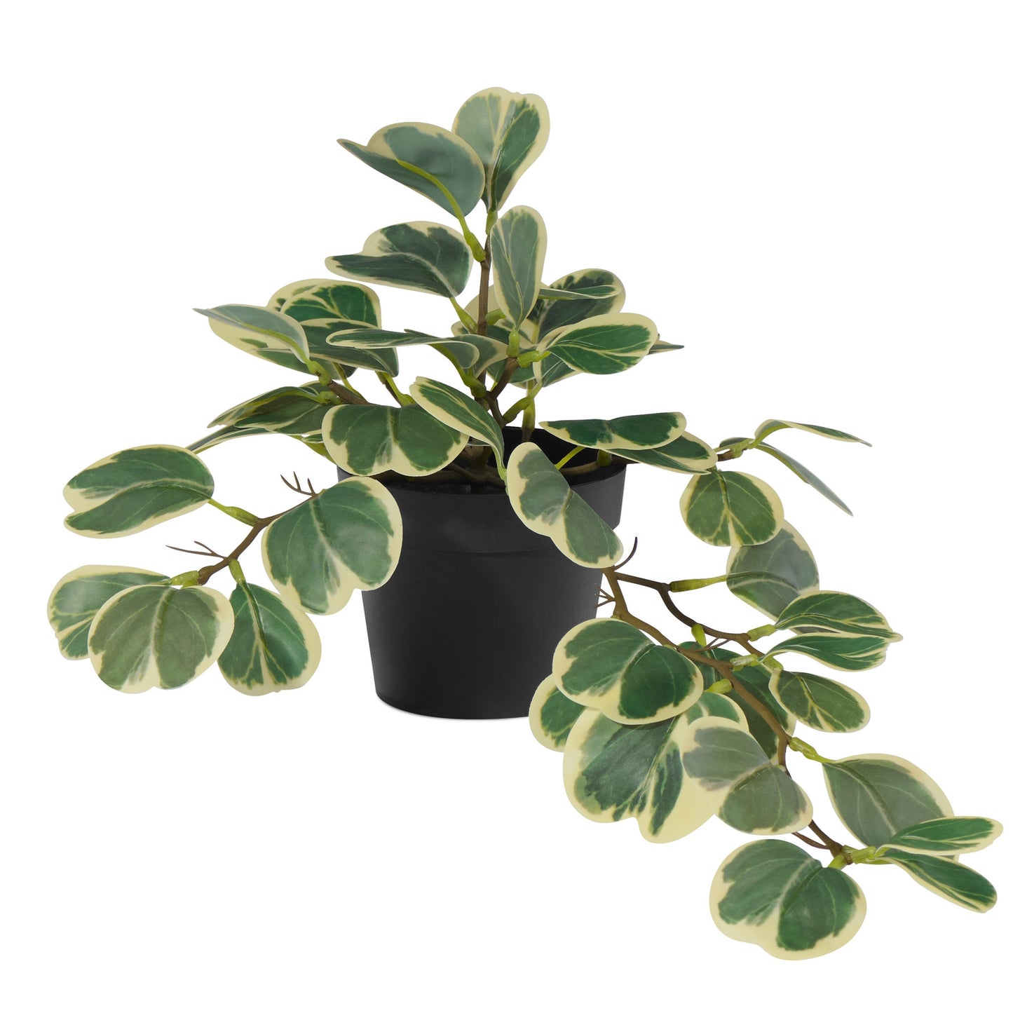 Hoya Cordata Faux Plant with 4 Inch Diameter Pot