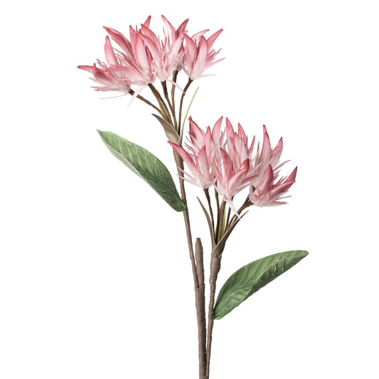 Desert Flame Lily 12 Bloom 27.5 Inch Stem - Pink