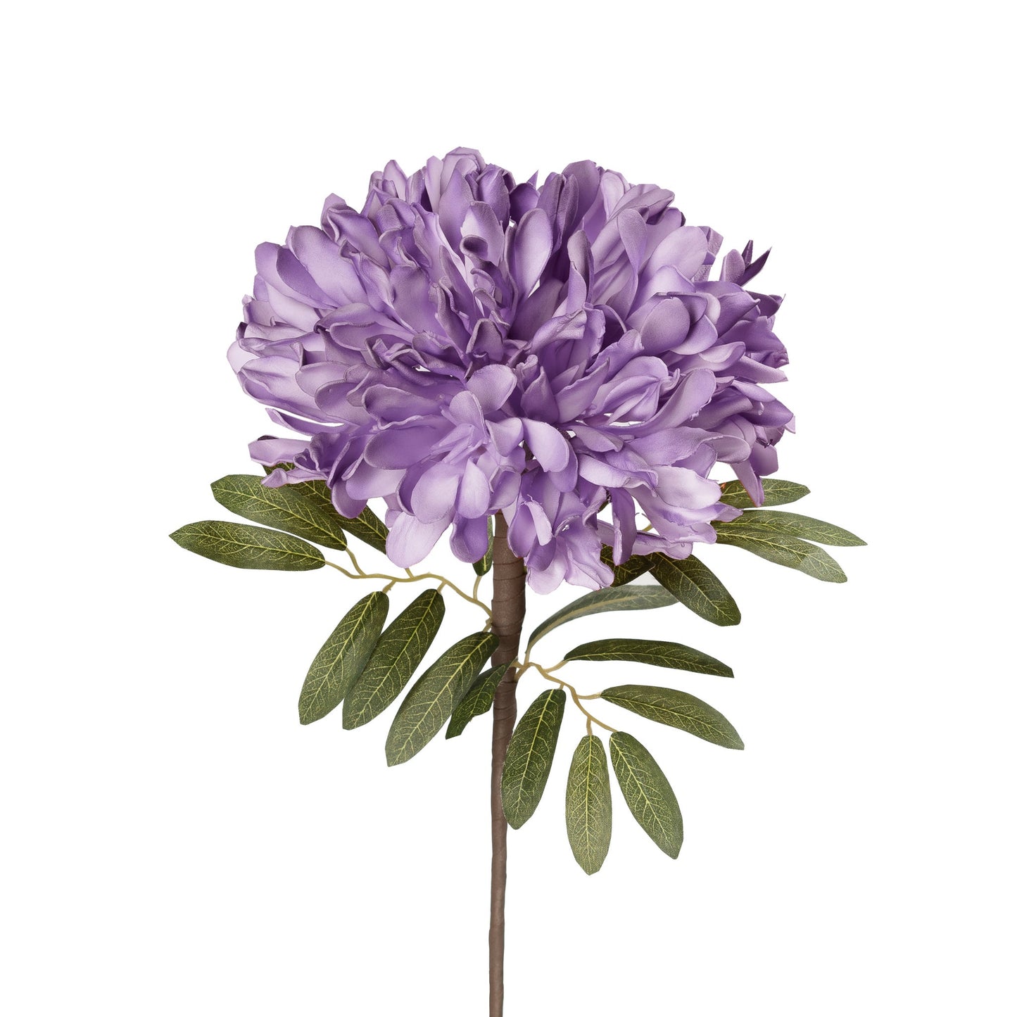 Desert Cassia Bloom 23.5 Inch Stem - Purple