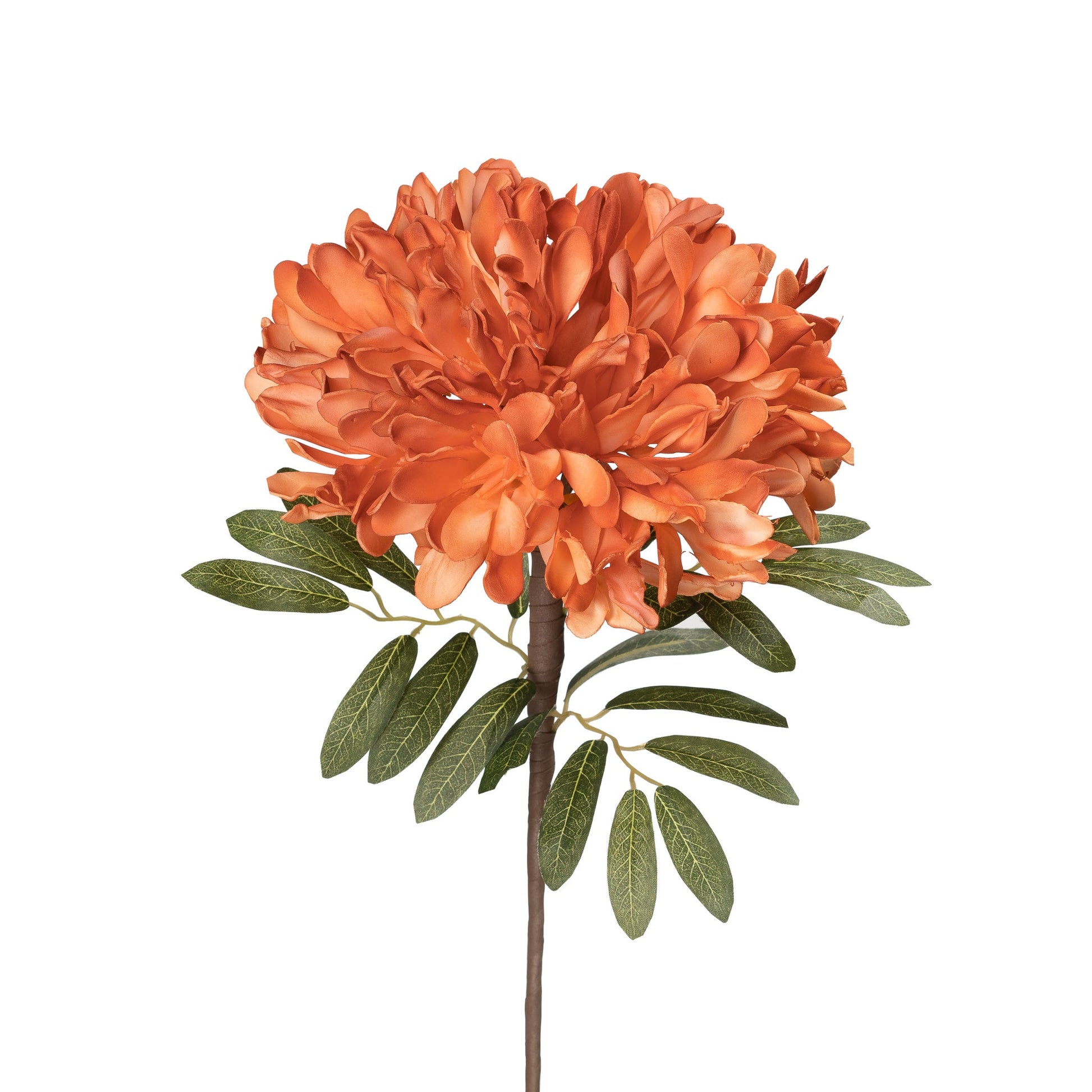 Desert Cassia Bloom 23.5 Inch Stem - Orange
