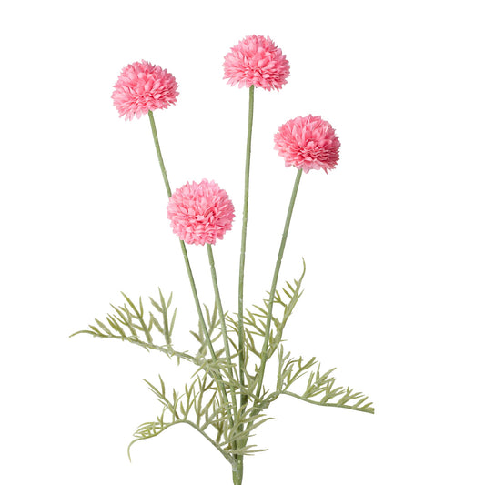 Pompom 4 Bloom 23.5 Inch Stem - Fuchsia