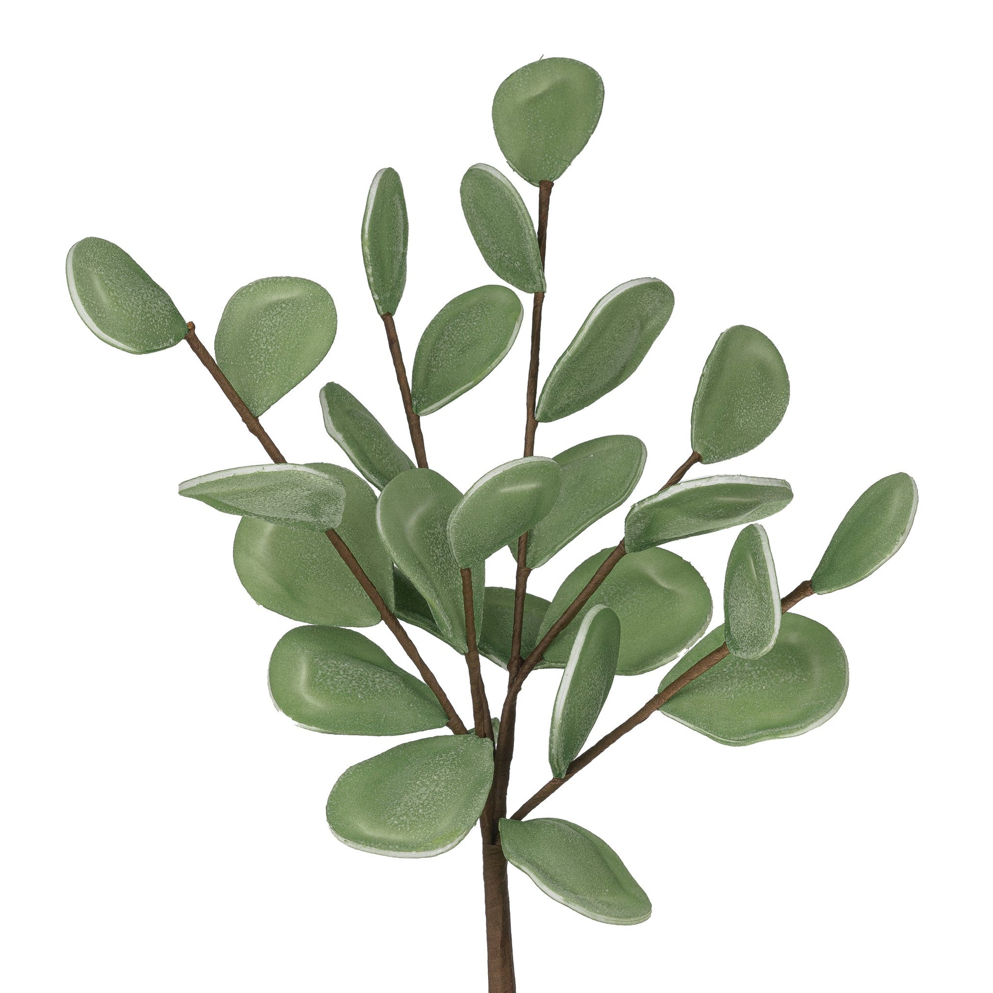 Desert Medallion 27 Inch Multi Leaf Stem - Dark Green