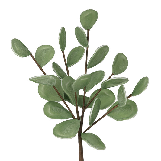 Desert Medallion 27 Inch Multi Leaf Stem - Dark Green