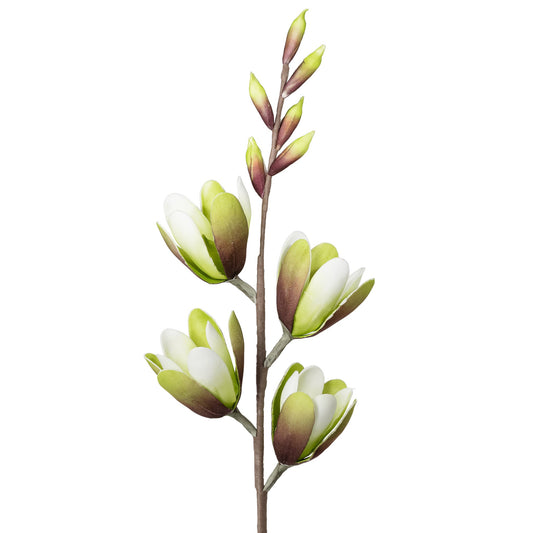 Desert Magnolia Spray 32 Inch Stem - Green