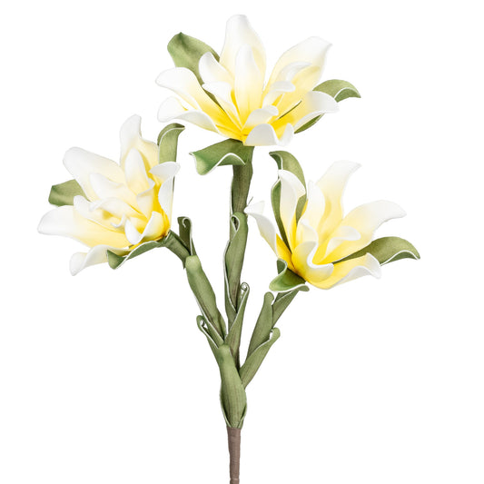 Desert Yellow Rose Lily 28 Inch Stem