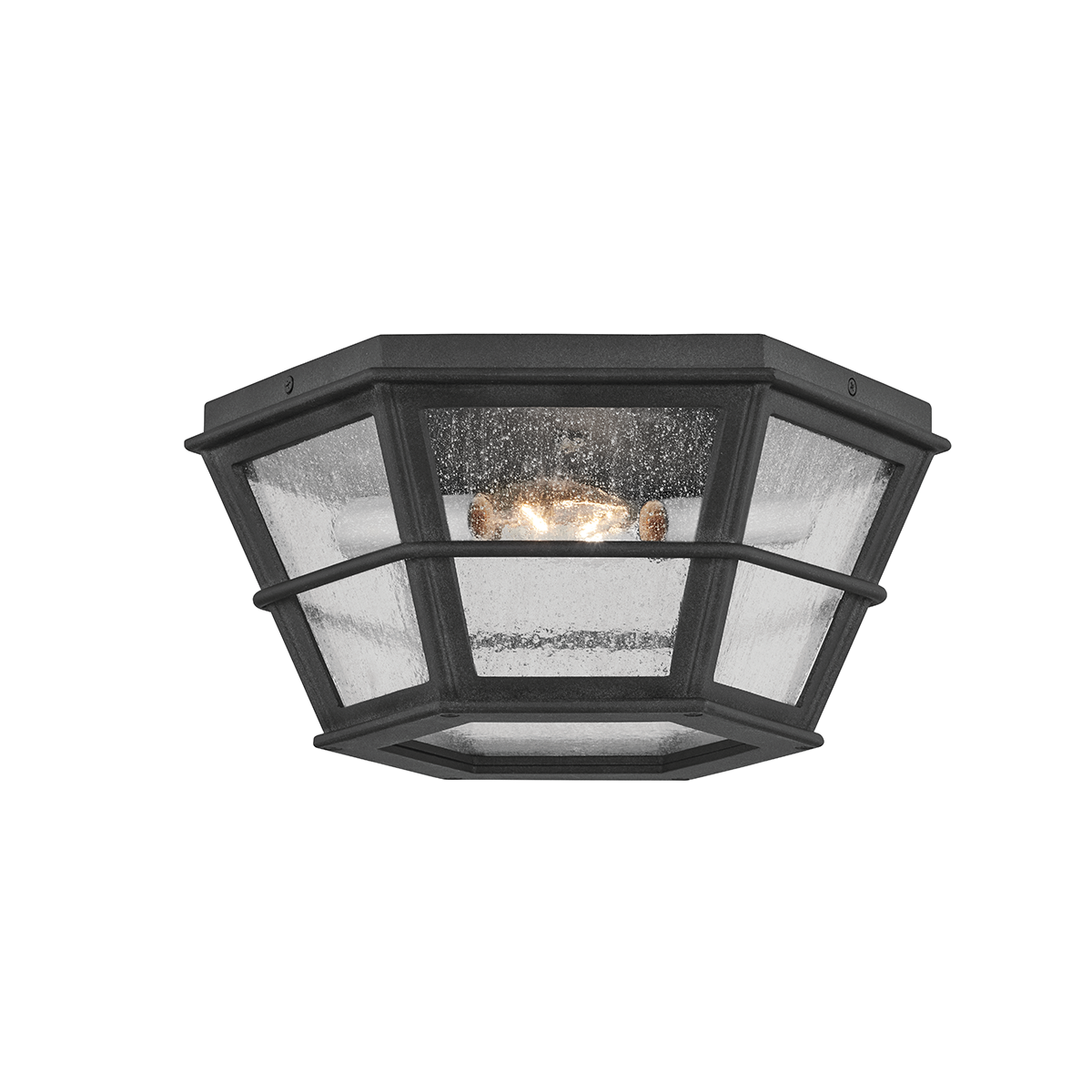 Troy Lighting Lake County Exterior Flush Mount