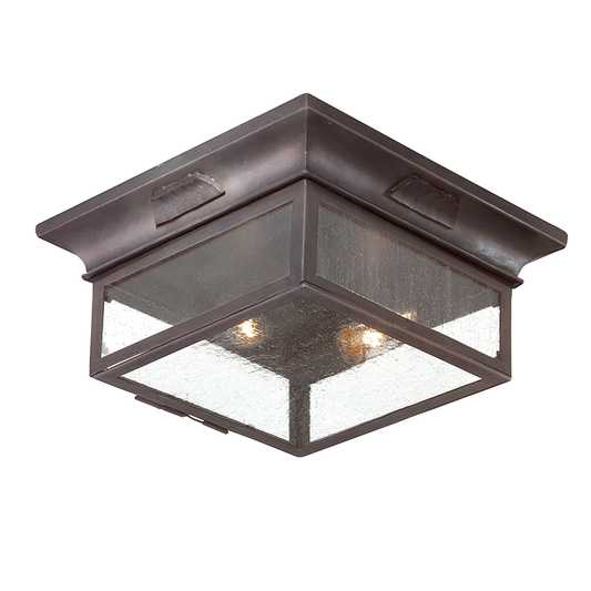 Troy Lighting Newton Exterior Flush Mount