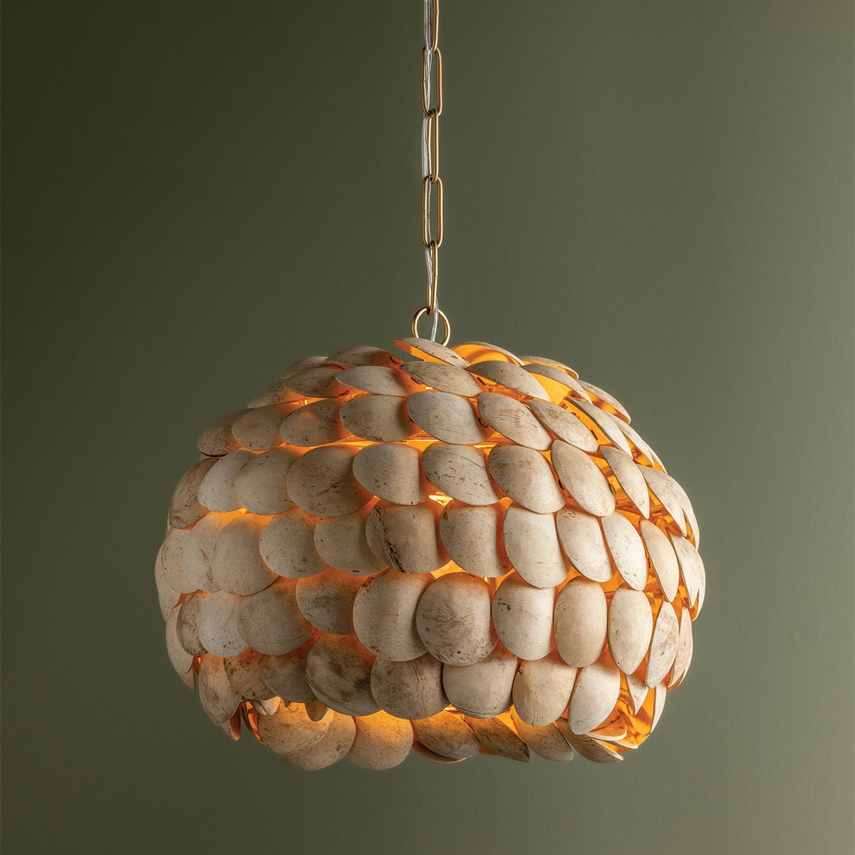 Troy Lighting EDRIC Pendant