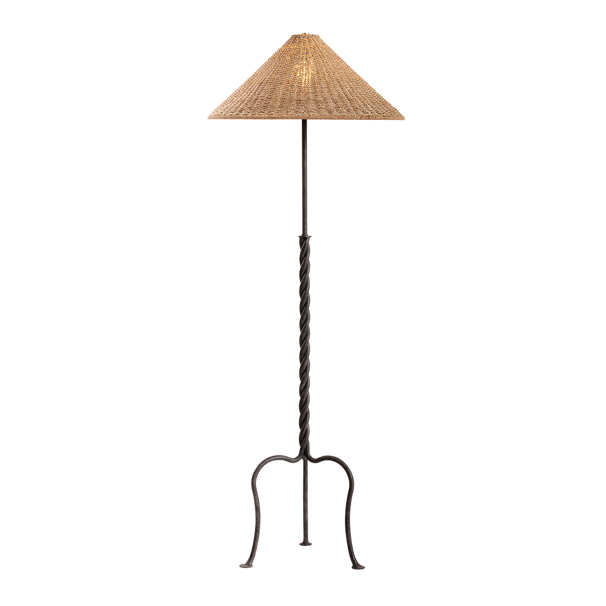 Troy Lighting Francisco Floor Lamp