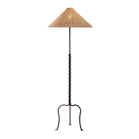 Troy Lighting Francisco Floor Lamp